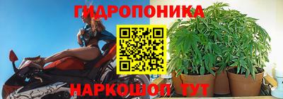 СК Чебаркуль