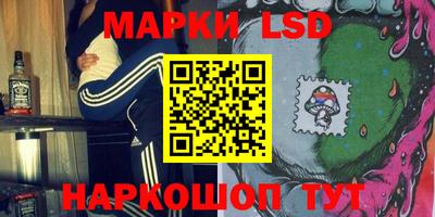 индика Будённовск