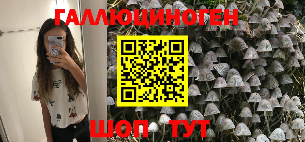Нефтекумск  Галлюциногенные грибы Cubensis  Вход с VPN 
